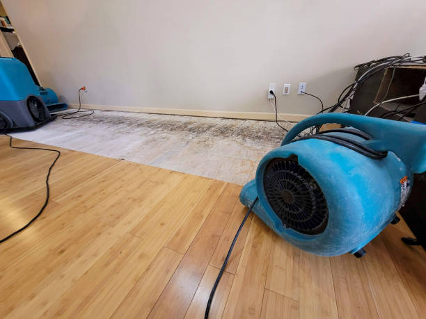 Professional Water Removal technician working in Logan, OH